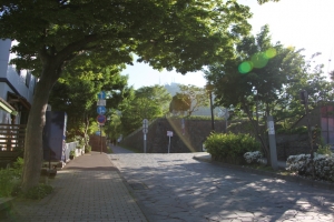 hakodate  042