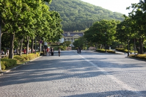 hakodate  074