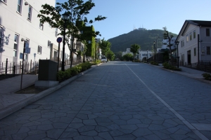 hakodate  077