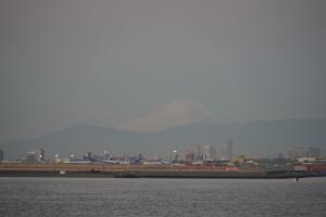 hatsuhi 018