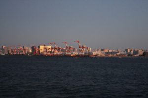 hatshuhi 007