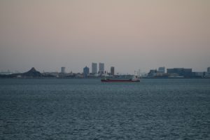 hatshuhi 010