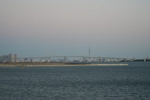 hatshuhi 011