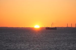 hatshuhi 015