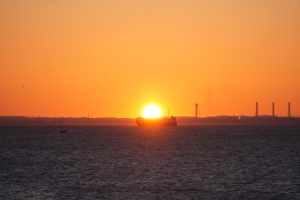 hatshuhi 017