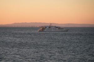 hatshuhi 024