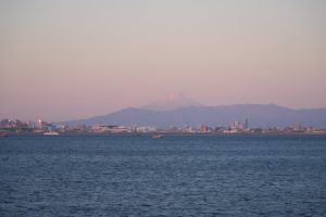hatshuhi 027