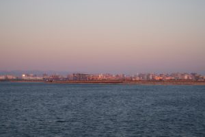 hatshuhi 031