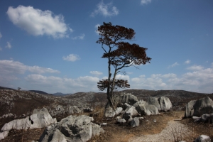 hiroshima 0151