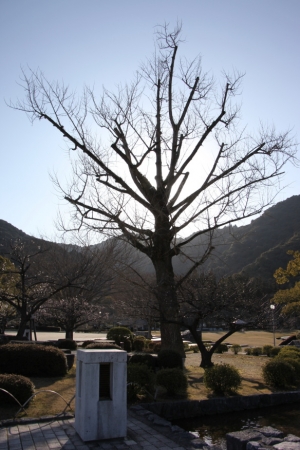 hiroshima 0088