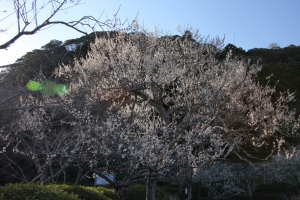 hiroshima 0096