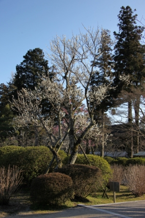 hiroshima 0097