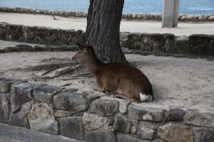 hiroshima 0006