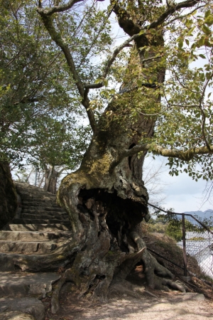 hiroshima 0029