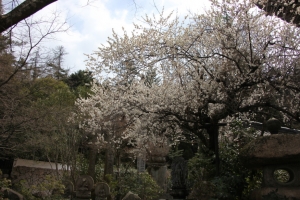 hiroshima 0050
