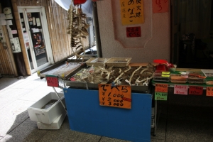 hiroshima 0206