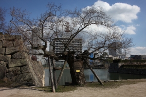 hiroshima 0059