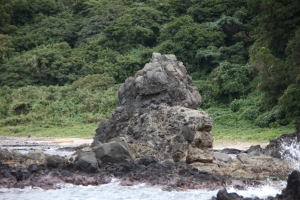 genmon 0014