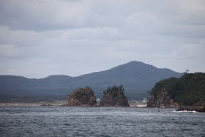 genmon 0024