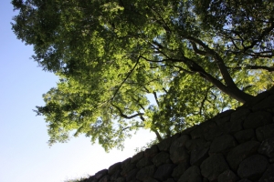 kanazawajo 0029