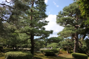 kenroku 0012