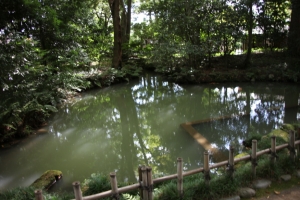 kenroku 0020