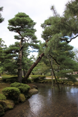 kenroku 0025