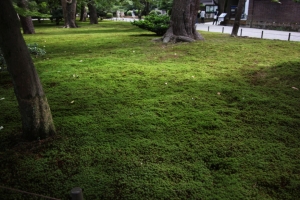 kenroku 0028