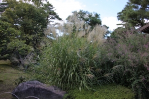 kenroku 0043