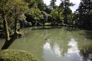 kenroku 0056