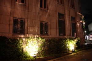 light 0008