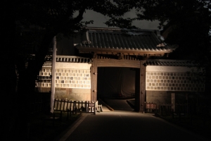 light 0012