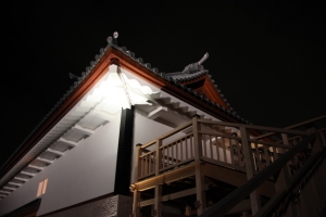 light 0017