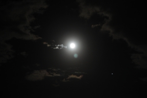 light 0020