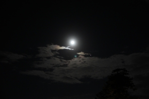 light 0023