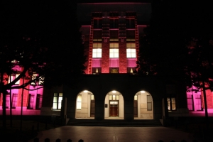light 0029
