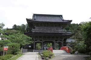 sujiji 0001