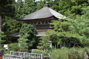 sujiji 0009