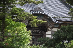 sujiji 0012