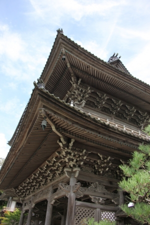 sujiji 0020
