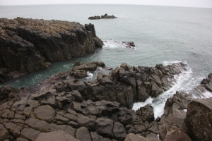 tojin 0006
