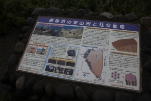 tojin 0009