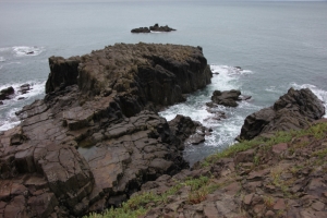 tojin 0012