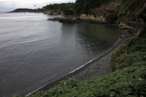 tojin 0026