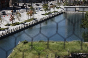 toyamashi 0014