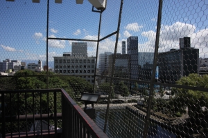 toyamashi 0015