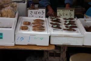 wajima 0009