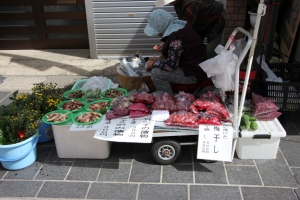 wajima 0011