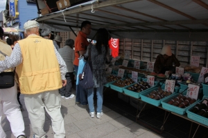 wajima 0018