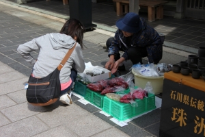 wajima 0019